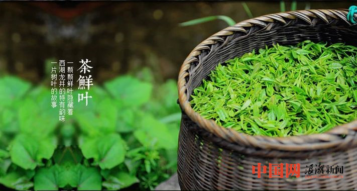 爱游戏官方网站中国十大茶叶品牌发布 西湖龙井等品牌上榜(图1)